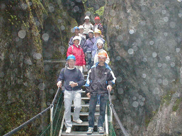 Pas impressionnés du tout !!